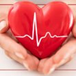 Cardiovascular Wellness Support