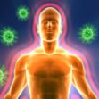 Immune System Support
